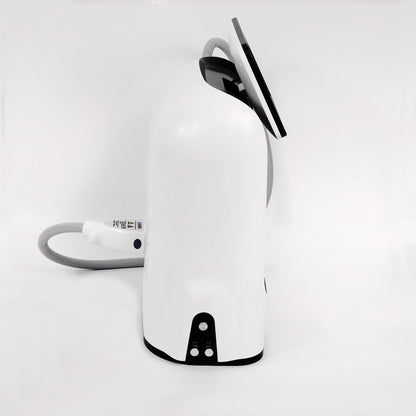 PicoElim Pico Laser Tattoo Removal Machine